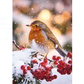 Christmas Card -  Christmas Animals