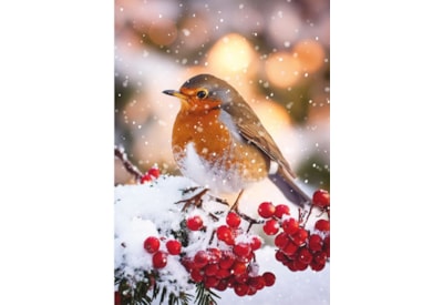 Christmas Card -  Christmas Animals