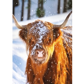 Christmas Card - Christmas Animals Christmas Card - Christmas Animals