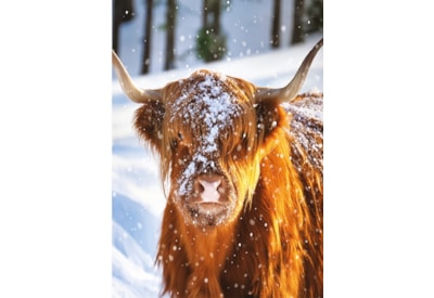 Christmas Card -  Christmas Animals