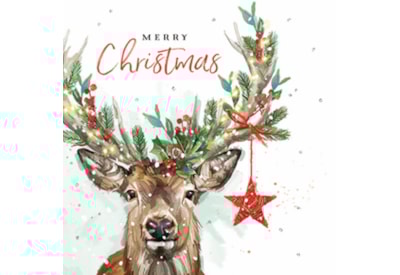 Christmas Card -  Festive Friends