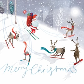 Christmas Card -  Santa And Friends