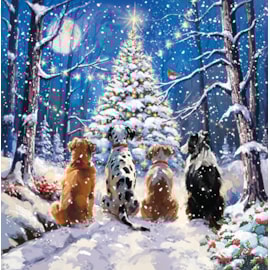 Christmas Card - The Night Before Christmas Christmas Card - The Night Before Christmas
