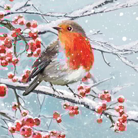 Vintage Charity Christmas Cards Assorted Vintage Charity Christmas Cards Assorted