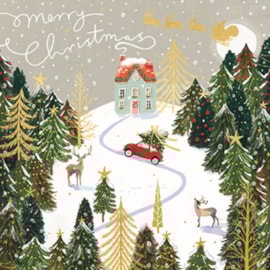 Scenic Charity Christmas Cards Assorted