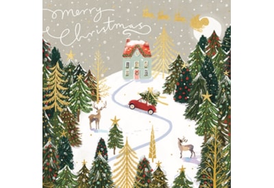 Scenic Charity Christmas Cards Assorted