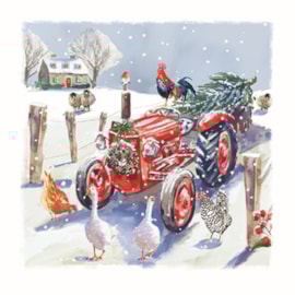 Wildlife Charity Christmas Cards Assorted