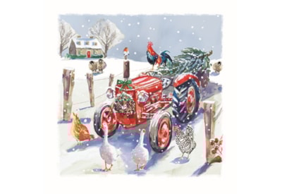 Wildlife Charity Christmas Cards Assorted