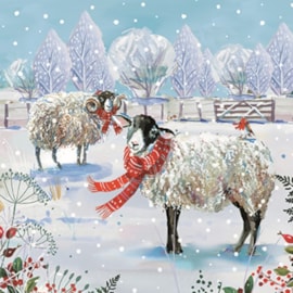 Wildlife Charity Christmas Cards Assorted