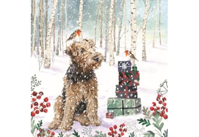 Wildlife Charity Christmas Cards Assorted