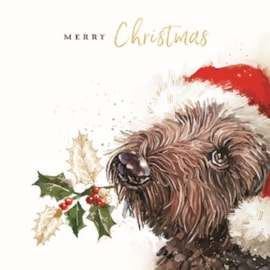 Wildlife Charity Christmas Cards Assorted