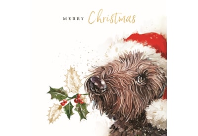 Wildlife Charity Christmas Cards Assorted