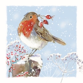 Wildlife Charity Christmas Cards Assorted