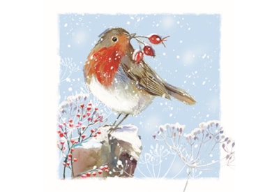 Wildlife Charity Christmas Cards Assorted