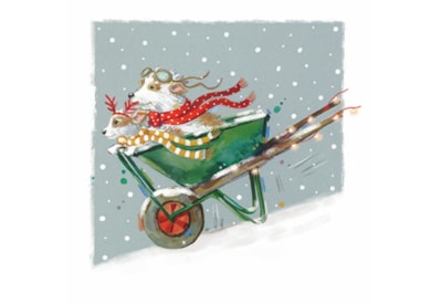 Whimsical Charity Christmas Cards Assorted Whimsical Charity Christmas Cards Assorted