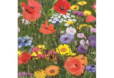 Bee Friends Seed Shaker Meadow Garden Bee Friends Seed Shaker Meadow Garden