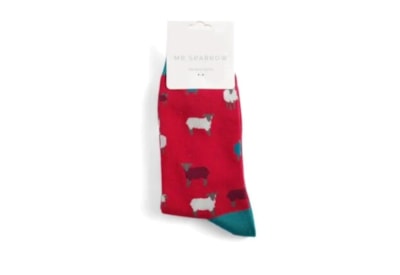 Mr Sparrow Sheep Family Socks Red (MR010RED)
