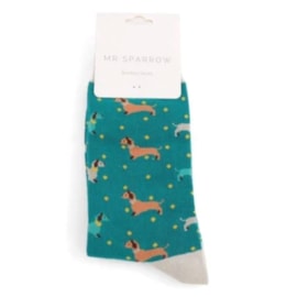 Mr Sparrow Sausage Dog & Spots Socks Teal (MR015TEAL)