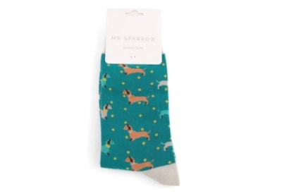 Mr Sparrow Sausage Dog & Spots Socks Teal (MR015TEAL)