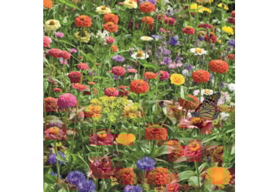 Bee Friends Seed Shaker Rainbow Bee Friends Seed Shaker Rainbow