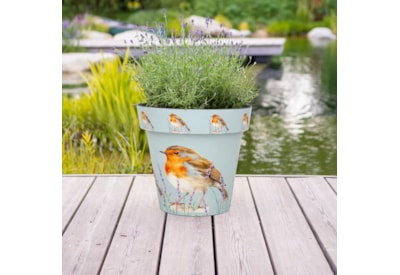 Creekwood Zest Pot Robin 30Cm Creekwood Zest Pot Robin 30Cm