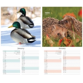 Midi Wall Calendar Birds/wildlife