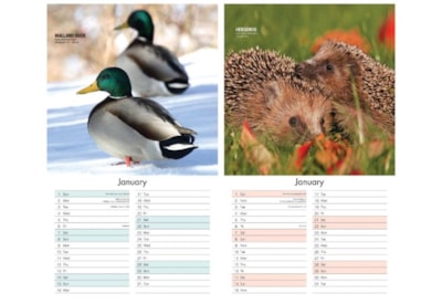 Midi Wall Calendar Birds/wildlife