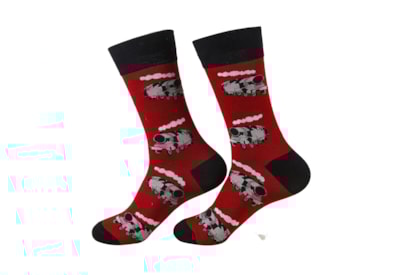 Eco Chic Red Stream Train Bamboo Socks 6-11