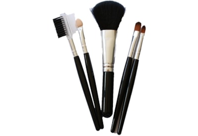 Cosmetic Brush Set 5pc (SM21468)