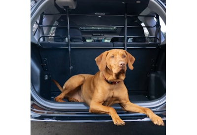 Sakura Dog Guard Black