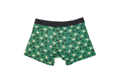 Eco Chic Green Labradors Bamboo Underpants Large (U03GN-L)