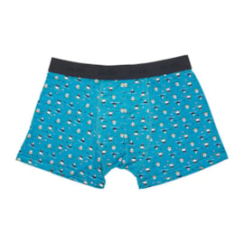 Eco Chic Teal Yachts Bamboo Underpants Large (U09TL-L)