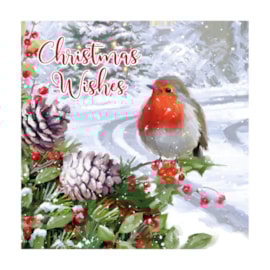 12pk Robin Traditional Cards 12pk Robin Traditional Cards