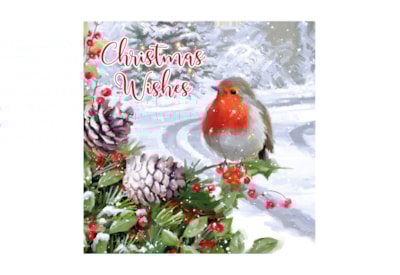 12pk Robin Traditional Cards 12pk Robin Traditional Cards