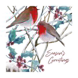 12pk Robin White Kraft Cards 12pk Robin White Kraft Cards