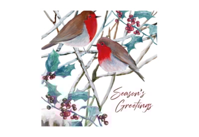 12pk Robin White Kraft Cards 12pk Robin White Kraft Cards