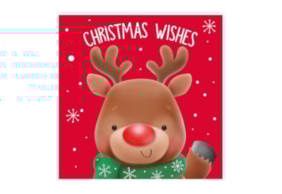 20pk Santa & Reindeer Cards 20pk Santa & Reindeer Cards