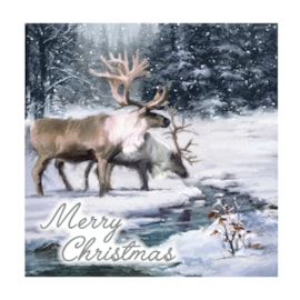 12pk Woodland Cards 12pk Woodland Cards