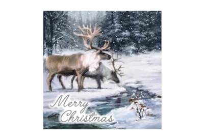 12pk Woodland Cards 12pk Woodland Cards