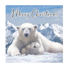 12pk Arctic Animals Cards 12pk Arctic Animals Cards