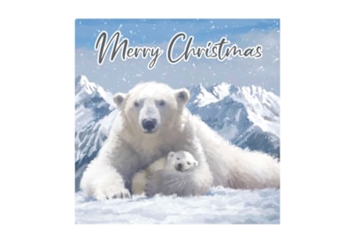 12pk Arctic Animals Cards 12pk Arctic Animals Cards