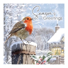 12pk Traditional Robin Cards 12pk Traditional Robin Cards