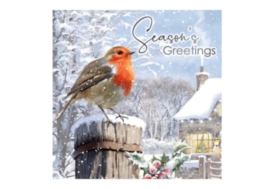 12pk Traditional Robin Cards