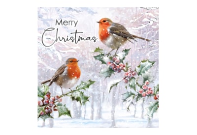 12pk Traditional Robin Cards