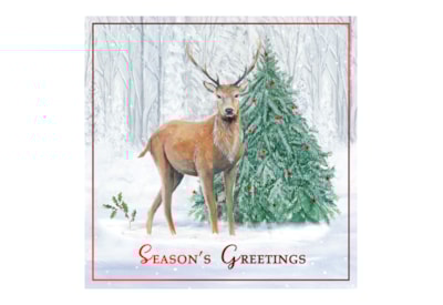 12pk Woodland White Kraft Cards 12pk Woodland White Kraft Cards