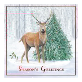 12pk Woodland White Kraft Cards