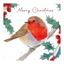 12pk Robin White Kraft Cards 12pk Robin White Kraft Cards