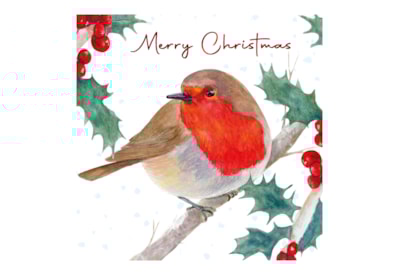 12pk Robin White Kraft Cards 12pk Robin White Kraft Cards