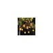 Smart Solar Cool Flame String Lights 10 Smart Solar Cool Flame String Lights 10