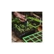 Gardman Planting & Labelling Set Gardman Planting & Labelling Set